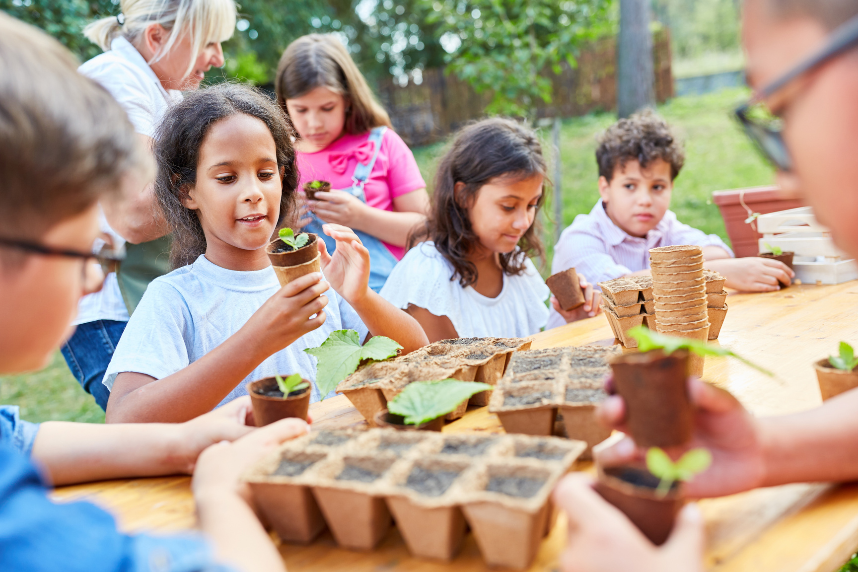 Children in Summer School Learn How to Grow Plants